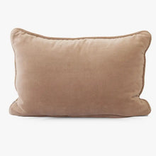 Load image into Gallery viewer, Vivianna Velvet Cushion Acorn Home + Apparel