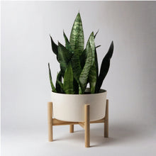 Load image into Gallery viewer, 9" Bamboo Fibre Pot with Stand