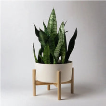 Load image into Gallery viewer, 9" Bamboo Fibre Pot with Stand Acorn Home + Apparel