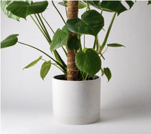 Load image into Gallery viewer, 9" Stone Look Planter