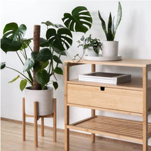 Load image into Gallery viewer, 9" Stone Look Planter