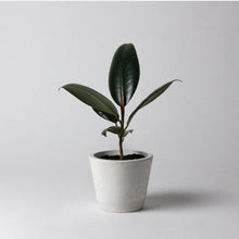 Load image into Gallery viewer, 3" Stone Look Planter