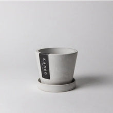 Load image into Gallery viewer, 3" Stone Look Planter Acorn Home + Apparel
