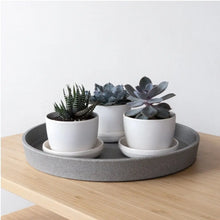 Load image into Gallery viewer, 11" Decorative Tray Acorn Home + Apparel