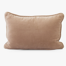 Load image into Gallery viewer, Vivianna Velvet Cushion
