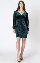 Load image into Gallery viewer, Holly Mini Dress
