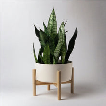 Load image into Gallery viewer, 9&quot; Bamboo Fibre Pot with Stand
